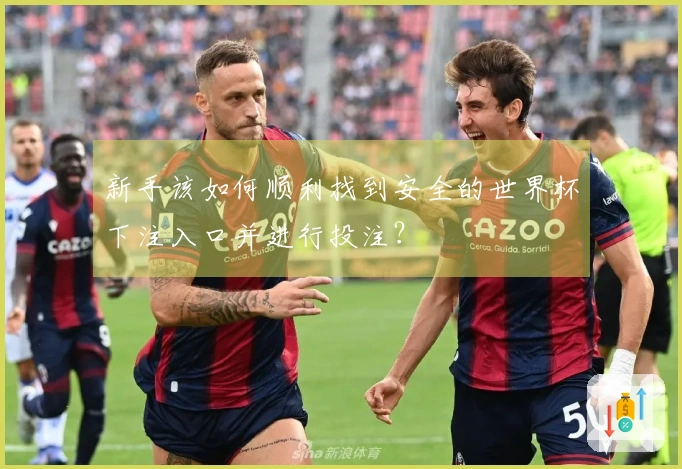 新手该如何顺利找到安全的世界杯下注入口并进行投注？