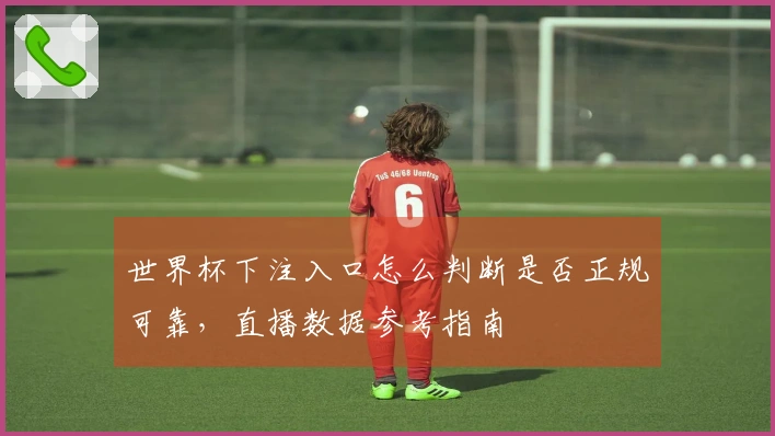 世界杯下注入口怎么判断是否正规可靠，直播数据参考指南