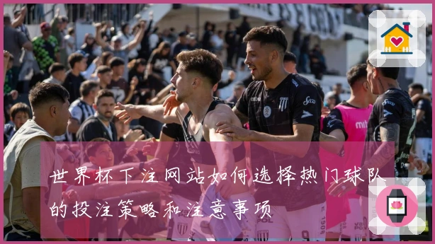 世界杯下注网站如何选择热门球队的投注策略和注意事项