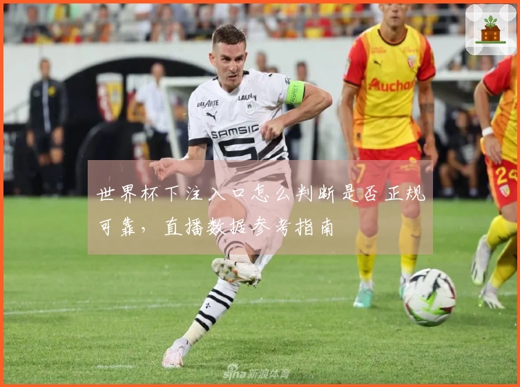 世界杯下注入口怎么判断是否正规可靠，直播数据参考指南