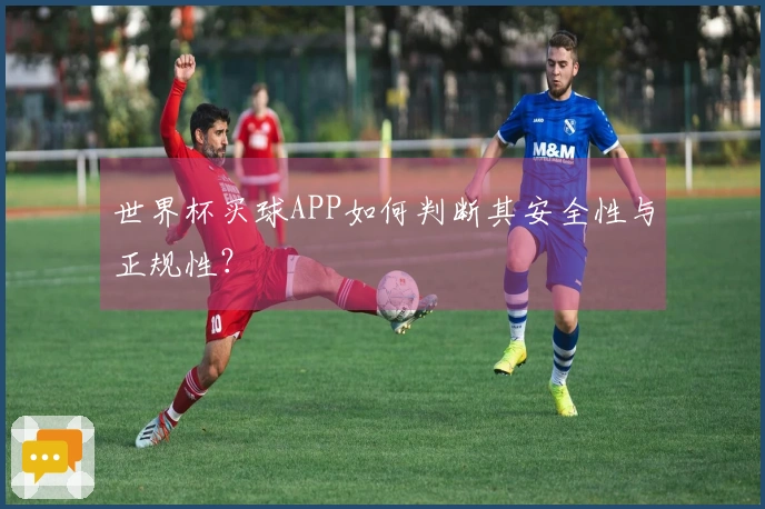 世界杯买球APP如何判断其安全性与正规性?