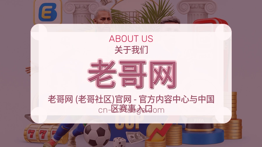 老哥网平台简介展示